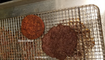 Comparison of Beef Patty & Beyond Meat Patty